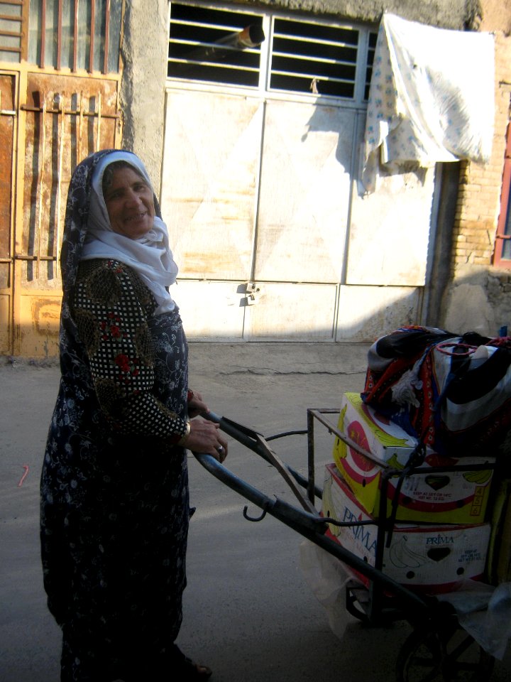 Iranian Draywoman in Bazaar of Nishapur 2