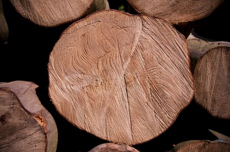 Gardening the bark trunk