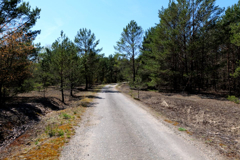 Jägersberg-Schirknitzberg 2021-05-09 13