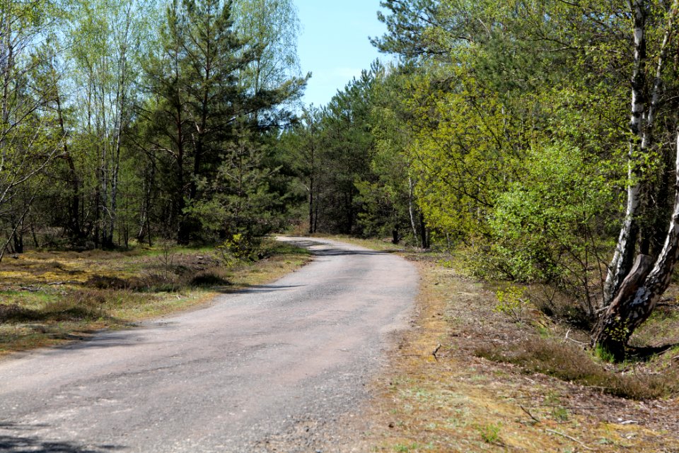 Jägersberg-Schirknitzberg 2021-05-09 10