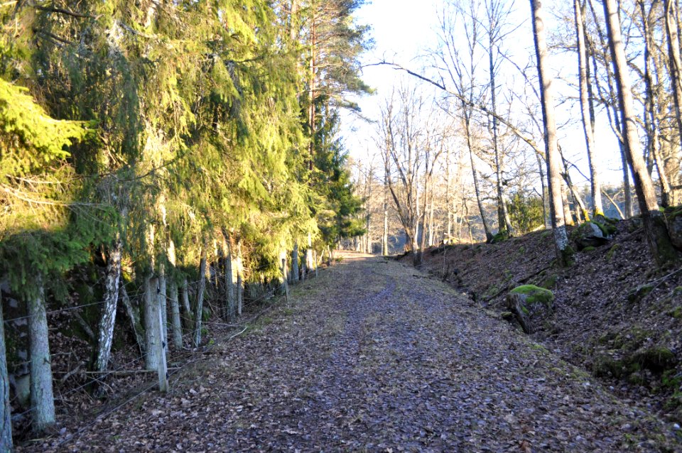 Järnvägsbank - Stenhammar naturreservat