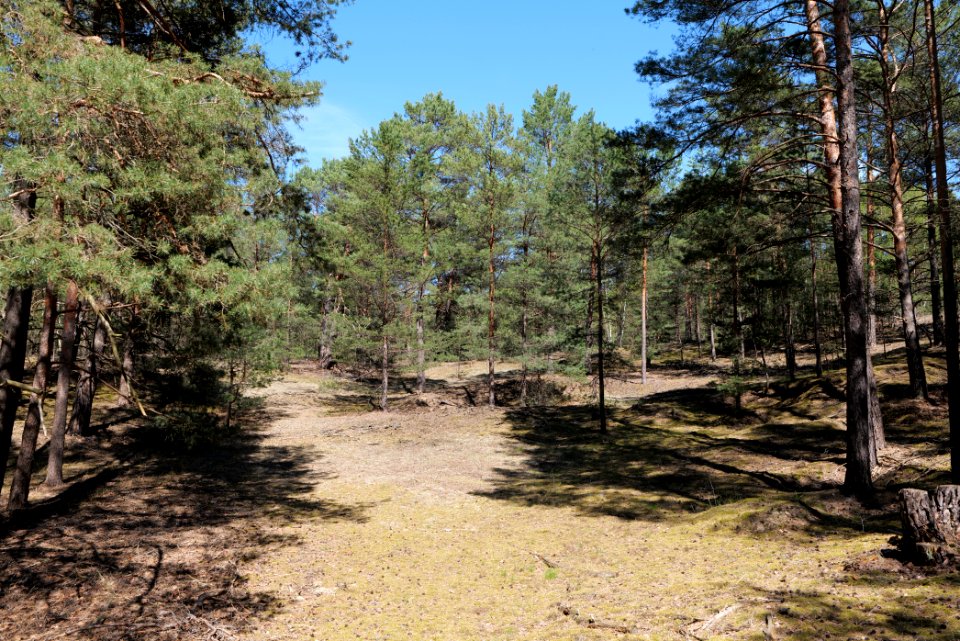 Jägersberg-Schirknitzberg 2021-05-09 20