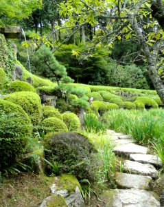 Iris garden - Ishiyamadera - Otsu, Shiga - DSC07445