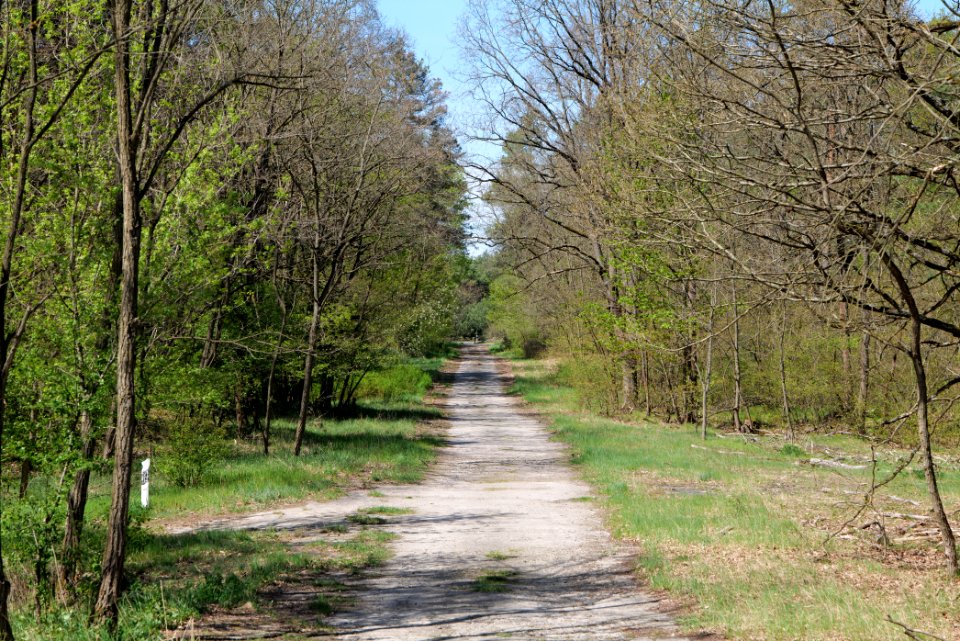 Jägersberg-Schirknitzberg 2021-05-09 48