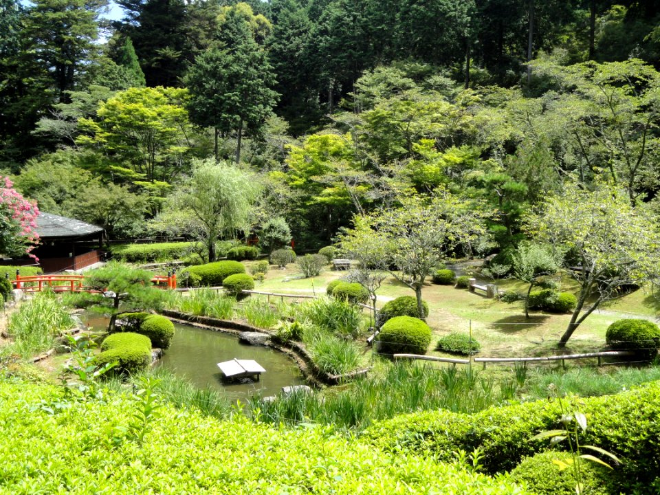 Iris garden - Ishiyamadera - Otsu, Shiga - DSC07554
