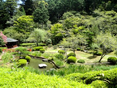 Iris garden - Ishiyamadera - Otsu, Shiga - DSC07554