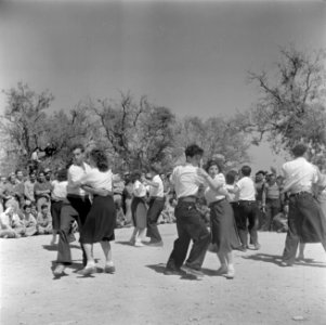 Inwoners van een kibboets dansen en zingen tijdens de herdenking van de onafhank, Bestanddeelnr 255-0746