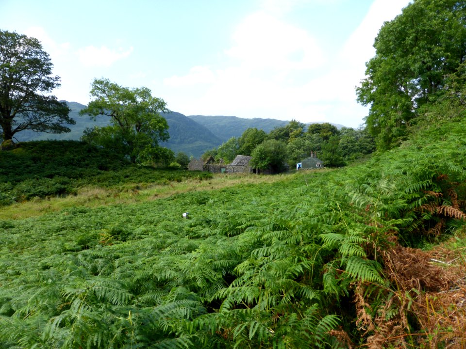 Inversnaid-inverarnan-6