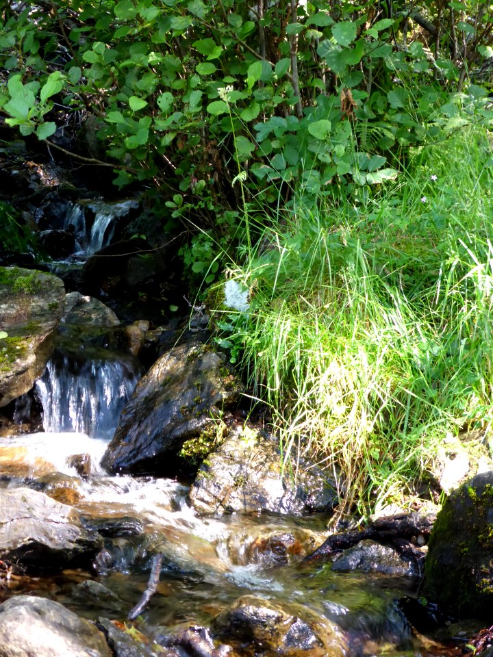 Inversnaid-inverarnan-8