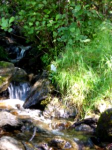 Inversnaid-inverarnan-8