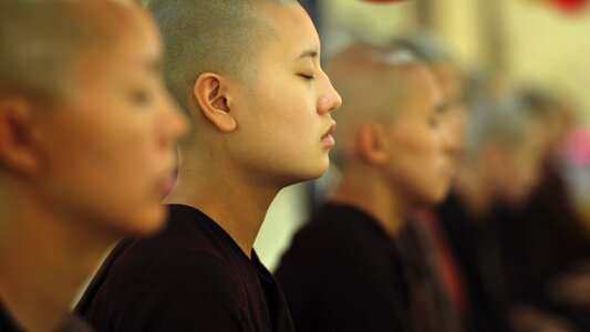 Young nuns sayalays buddhism photo