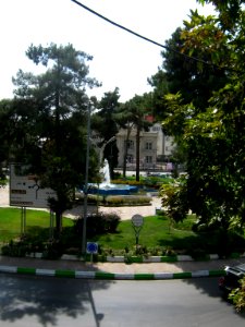 Iran sq - trees - nishapur - September 27 2013 01
