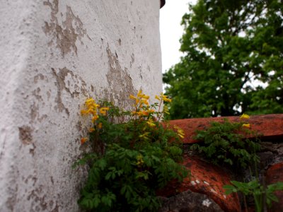 Irsee St Stephan-15