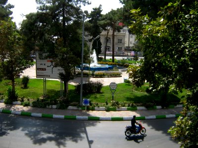 Iran sq - trees - nishapur - September 27 2013 05