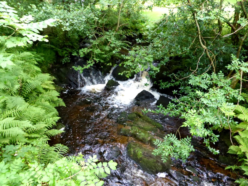 Inversnaid-1