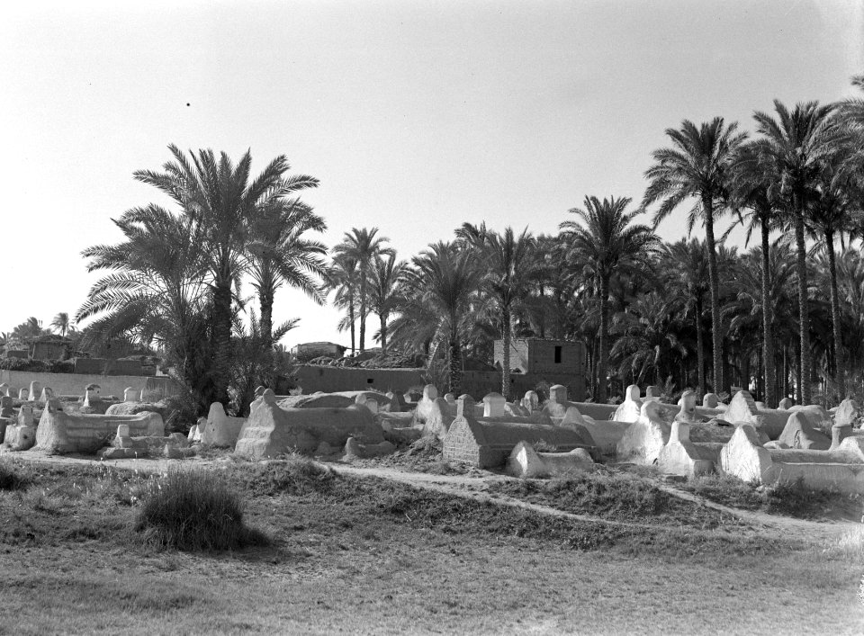 Islamitische graven onder de palmen, Bestanddeelnr 191-0077