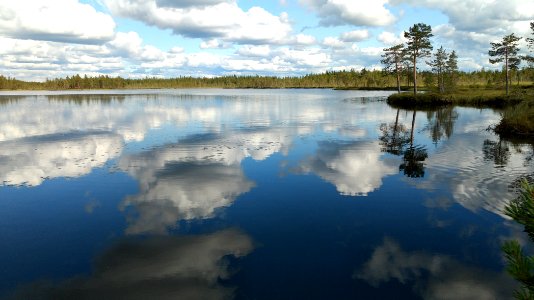 Iso Juurikkalampi Puolanka