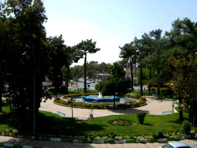 Iran sq - trees - nishapur - September 27 2013 10