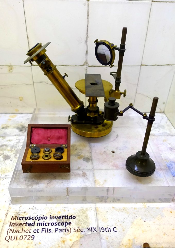 Inverted microscope, Nachet et Fils, Paris, 1800s - Museu da Ciência da Universidade de Coimbra - University of Coimbra - Coimbra, Portugal - DSC09070