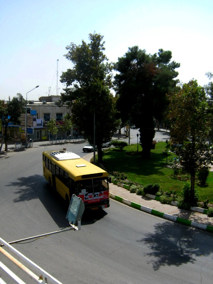 Iran sq - trees - nishapur - September 27 2013 08