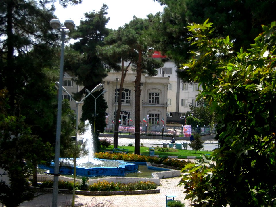 Iran sq - trees - nishapur - September 27 2013 09