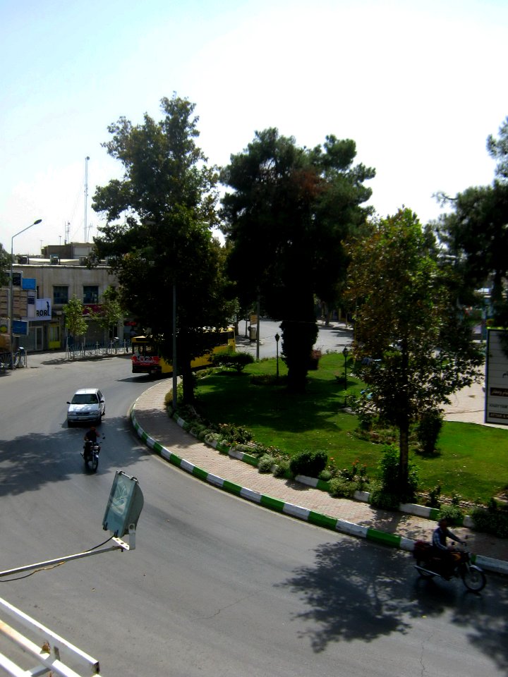 Iran sq - trees - nishapur - September 27 2013 06
