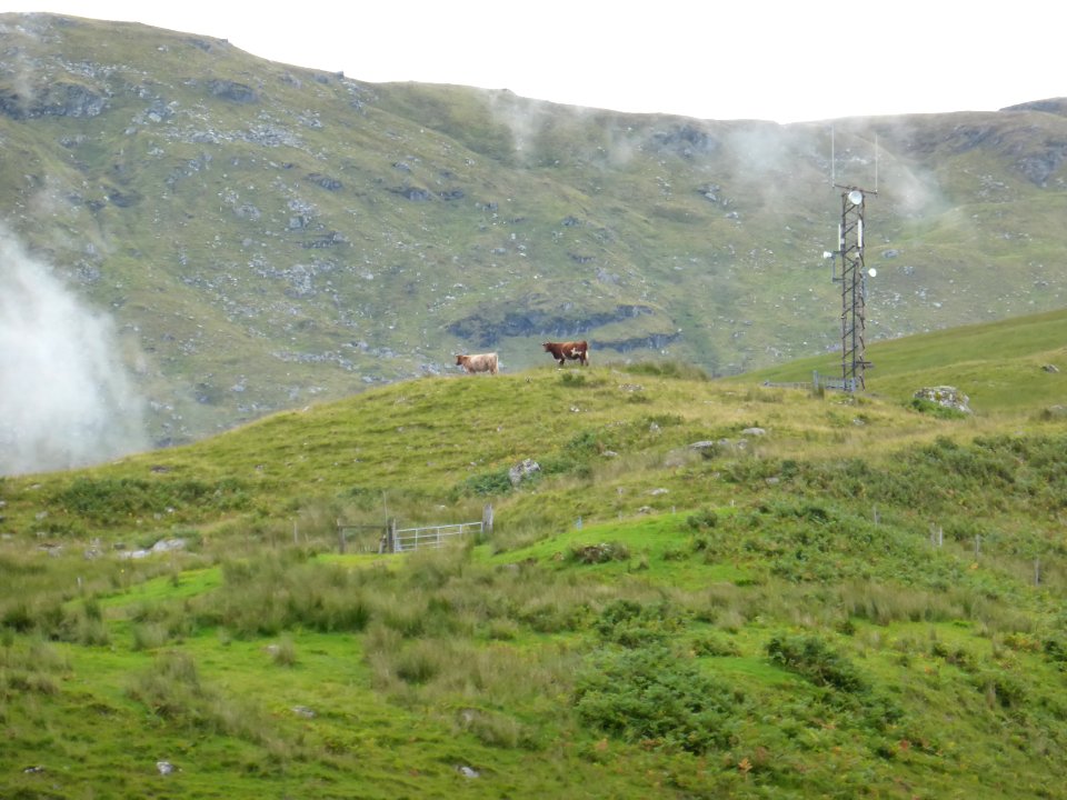 Inverarnan-Tyndrum-5