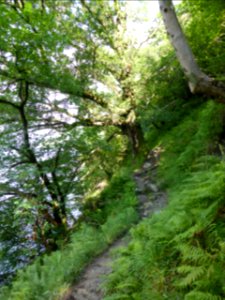 Inversnaid-inverarnan-5