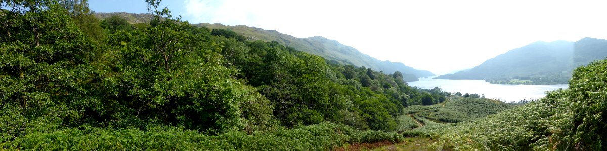 Inversnaid-inverarnan-7