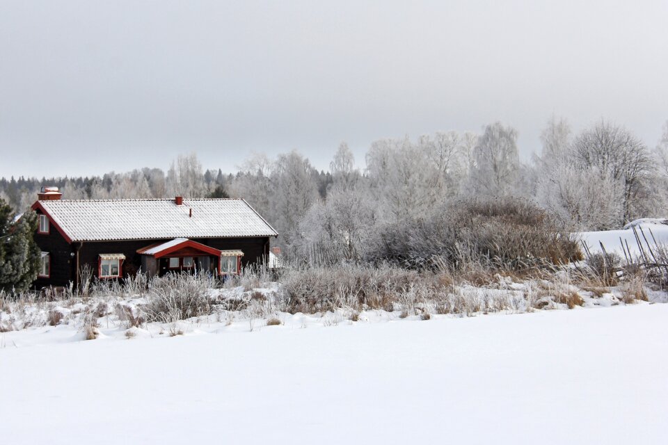 Winter cold beautiful