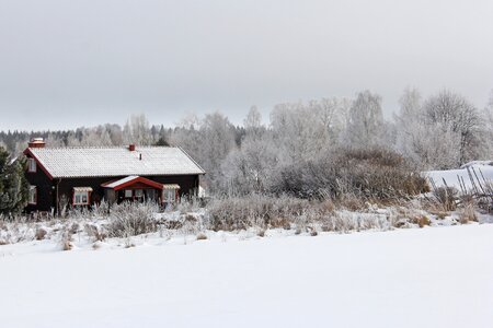 Winter cold beautiful photo