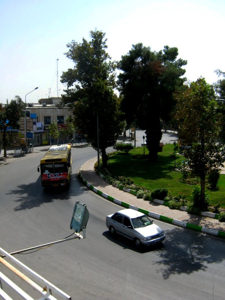 Iran sq - trees - nishapur - September 27 2013 07