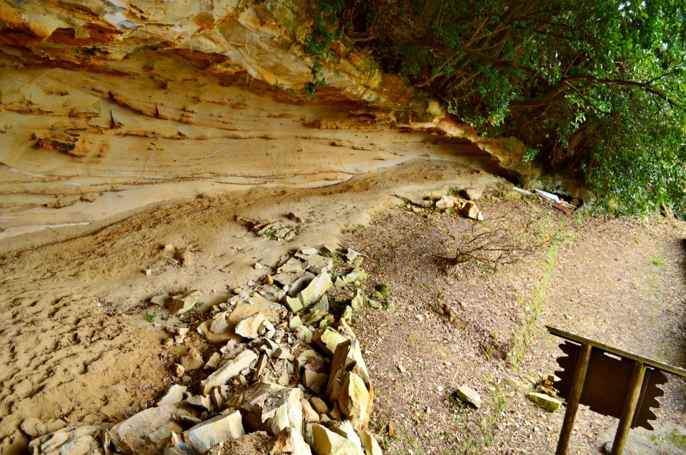 Isoma Iwakage Site-2