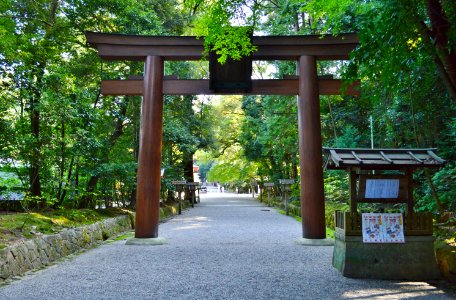 Isonokami-jingu, torii