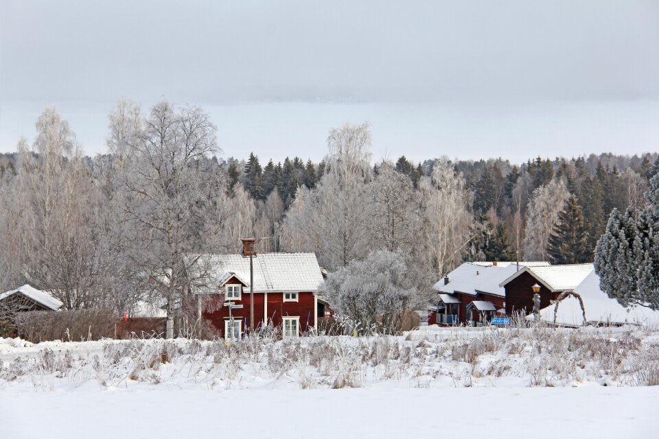 Winter cold beautiful