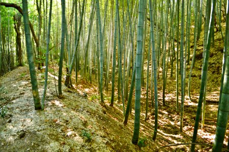 Isonokami Otsuka Kofun, hori