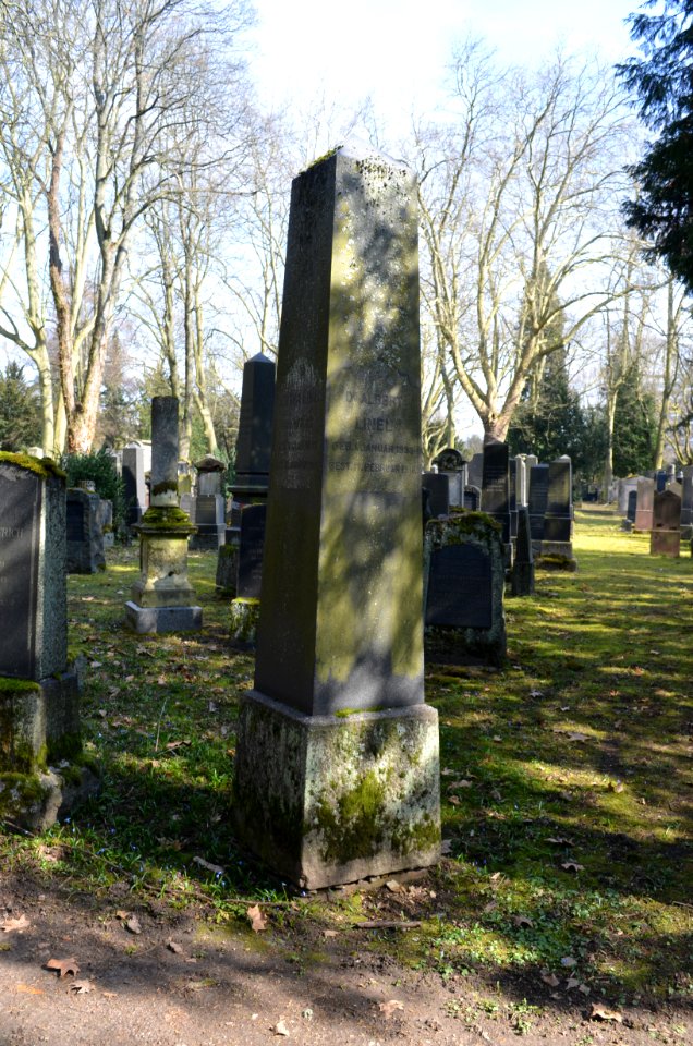 Israelitischer Friedhof (Frankfurt-Nordend), Grab Albert Linel