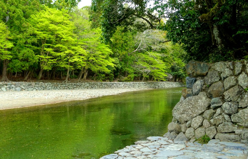 Isuzu River - Naiku, Ise Shrine - Ise, Mie, Japan - DSC07648