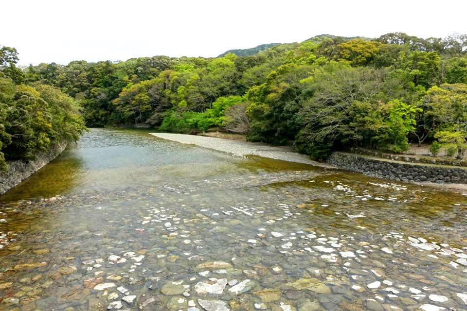 Isuzu River from Uji-bashi - Naiku, Ise Shrine - Ise, Mie, Japan - DSC07624