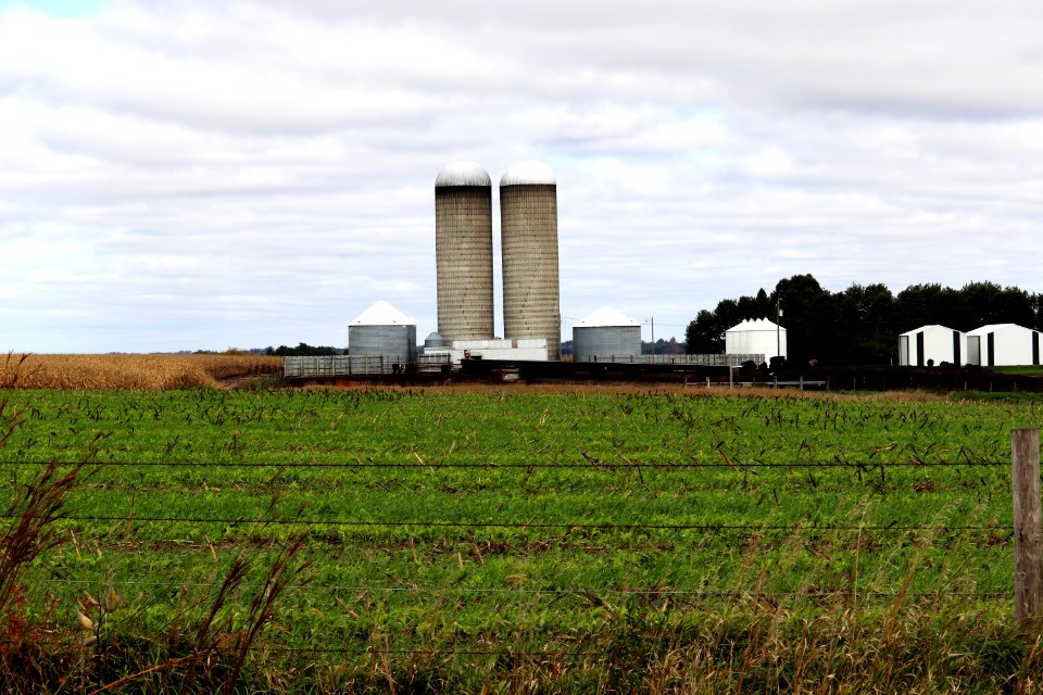 Iowa farm with silos IMG