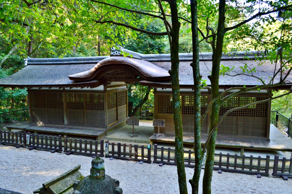 Isonokami-jingu, Izumotakeo-jinja haiden-2