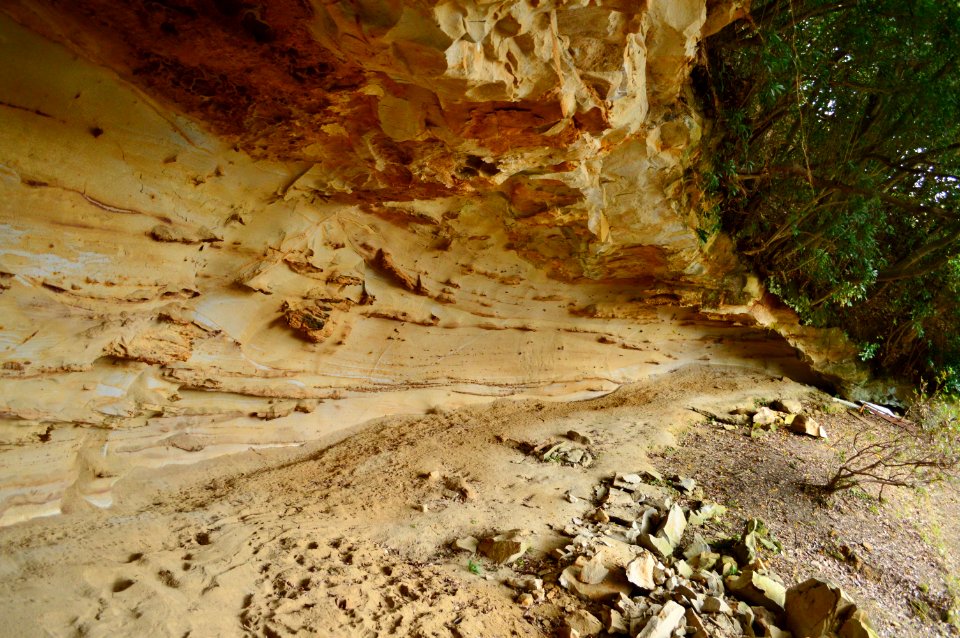 Isoma Iwakage Site-3