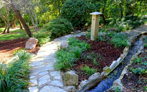 Isamu Taniguchi Japanese Garden - Zilker Botanical Garden - Austin, Texas - DSC09111