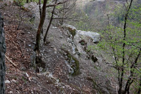 Isenburg Rabentisch