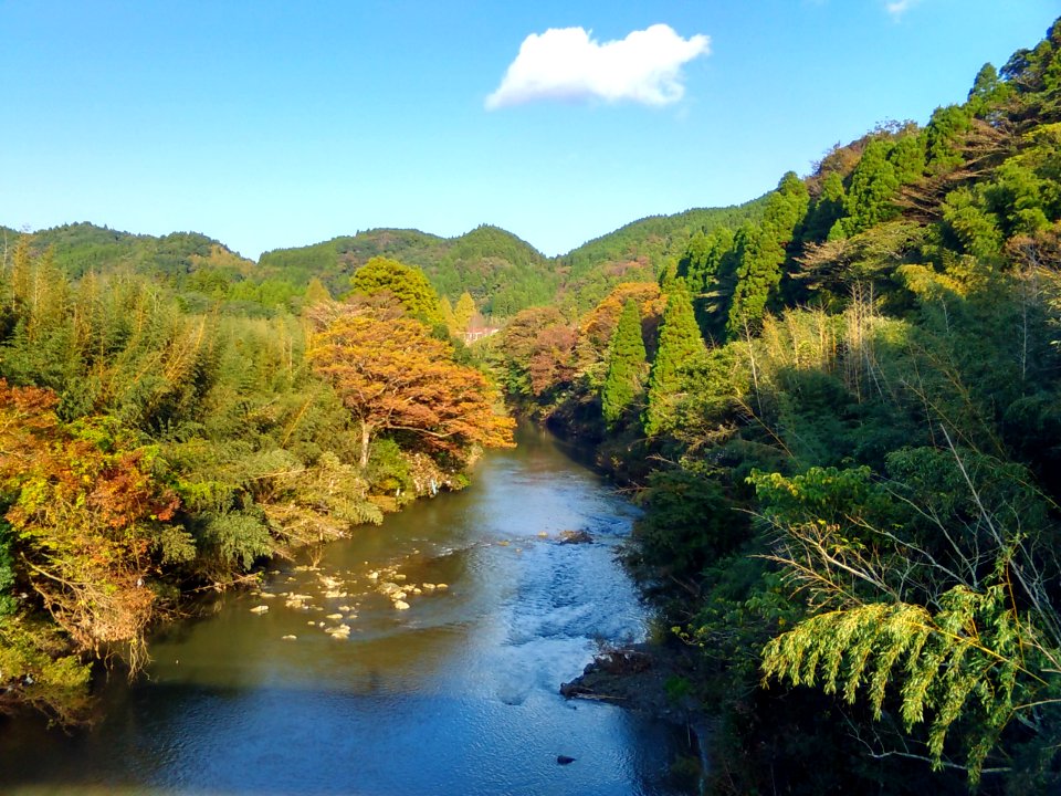 Isumi River near Saniku Gakuin 2016111301