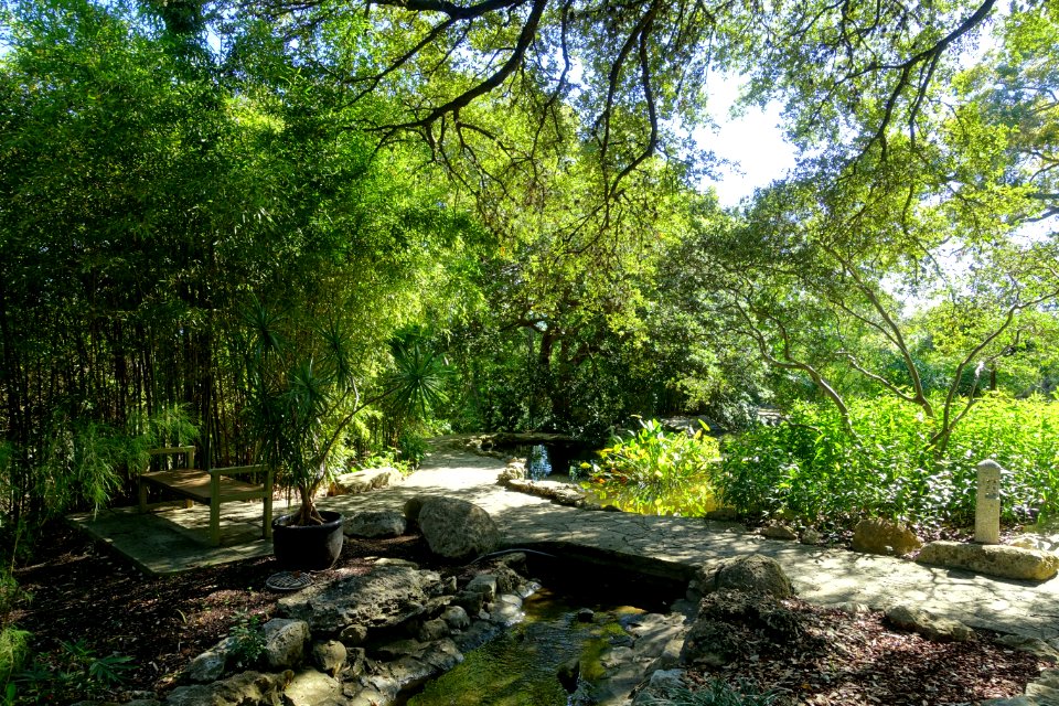 Isamu Taniguchi Japanese Garden - Zilker Botanical Garden - Austin, Texas - DSC09035