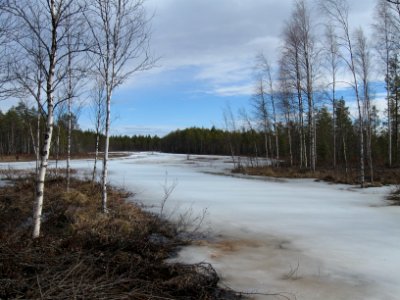 Itäoja Sanginkylä
