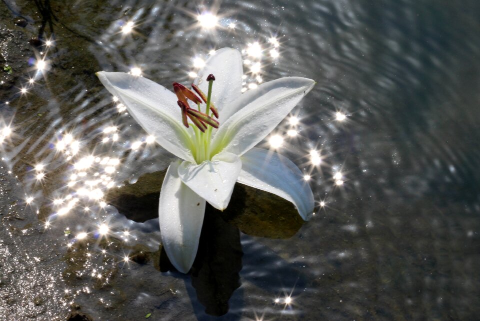 Reflection white shine