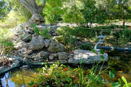 Isamu Taniguchi Japanese Garden - Zilker Botanical Garden - Austin, Texas - DSC09063