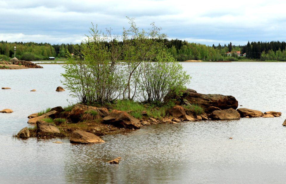 Islet Halosenlahti Oulu 20140601